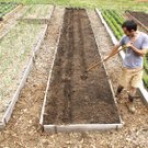 urbanfarm02