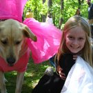 adog117