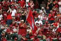 Baseball FOCUS 007