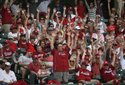 Baseball FOCUS 020