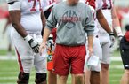 Offensive coordinator Paul Petrino is expected to call plays and lead the offense for the Arkansas after the firing of his brother. 