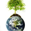 Are you living green?