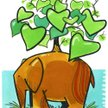 elephant tree