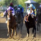 1Cpreakness39pCOLOR