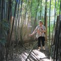 Hamsa Newmark says her bamboo garden is “a world unto its own.” Part of the Omni Peace Gardens Tour ...