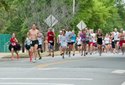 Cheetah Chase Family Fun Run