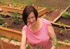 Master Gardener Charlotte Perdue weeds her plot at the Sturbridge Community Garden in Little Rock.

