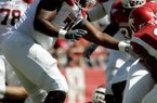 Arkansas offensive lineman Jason Peacock was sentenced to one year of probation and 10 days in jail Monday after pleading guilty to misdemeanor theft of property. 