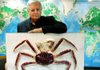 Entomologist Andrew Acarina displays a mounted and desiccated giant Mexican crab tick trapped last month on the Wildlife Lane Nature Trail at Millwood State Park. 
