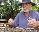 Arkansas Archaeological Summer Dig