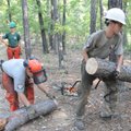 Carissa Hanson and Colin Gordan move the fallen pine from the trail.