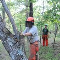 Carissa Hanson tackles another tree.