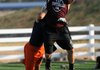 Taylor Phillips of Huntsville High School pulls down a pass July 9 during a 7-on-7 scrimmage at Springdale Har-Ber High School.