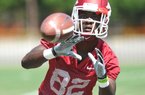 Arkansas freshman receiver Mekale McKay has been raised by his grandmother since he was 4 years old, but now he’s ready for a new chapter in his life. “Being a Razorback is one of the awesome things that’s happened in my life, and I’m really grateful for it,” McKay said. 
