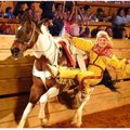Dolly Parton’s Dixie Stampede is dinner theater on the run. 