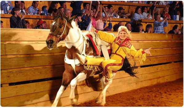 dixie stampede pictures