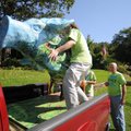 Nick Moore lifts a painted pig off its base Friday with the help of others as Paul Johnson, right, ...