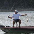 Bob Ross boats a white bass.