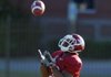 Arkansas’ Dennis Johnson is the Razorbacks’ career leader in kickoff return yards with 2,475 and SEC active leader in all-purpose yards with 4,104. He is also expected to return punts this season. 