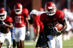 Arkansas wide receiver Mekale McKay (above) is scheduled to be the only freshman to have a starting spot when the Razorbacks open the season Saturday against Jacksonville State. 