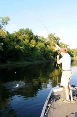 A Lake Taneycomo rainbow trout gives Lilley a fight on his fly rod.