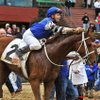 Oaklawn Park report