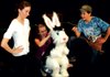 The Cat (Alison Stricklen, left) and the Dog (Matthew Gates, right) don’t know what to make of the new — and possibly evil — rabbit that’s come to their house to live. Sophie Scaccia is the puppeteer bringing “Bunnicula” to life this weekend at the Arts Center of the Ozarks in Springdale. 