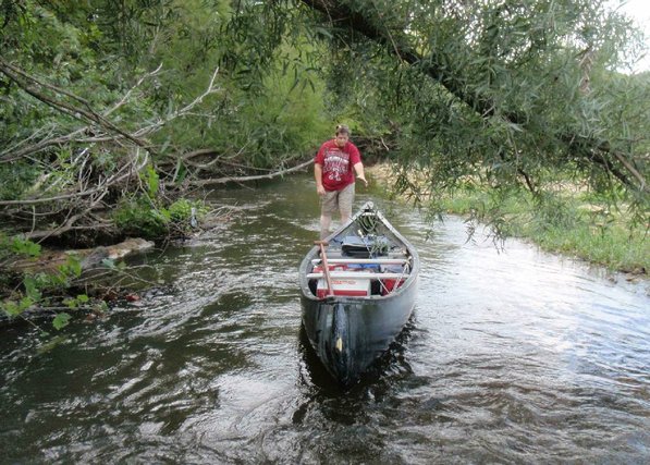 
                           Low water meant getting the canoe under trees or around log jams. Alan Bland works to get the boat through a jungle of trees.       