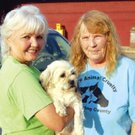 179596-animal-rescueweb_31-16273