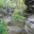 Exploring along a creek.