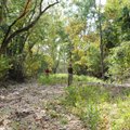 The 1,954 acres includes stream-bottom land, shown here, tall ridges and steep, rugged terrain.