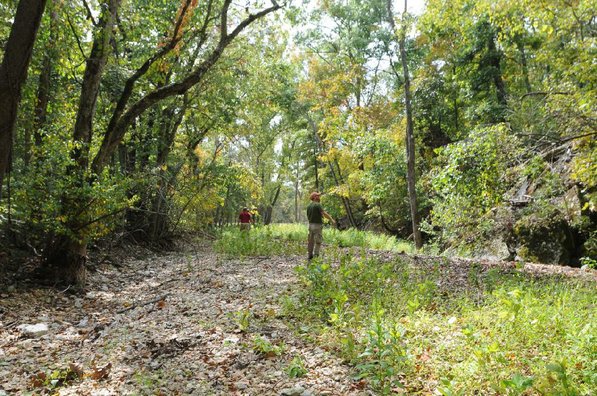 
                           The 1,954 acres includes stream-bottom land, shown here, tall ridges and steep, rugged terrain.