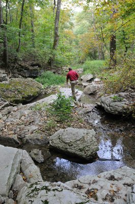 
                           Chris Colclasure explores a stream on the property.