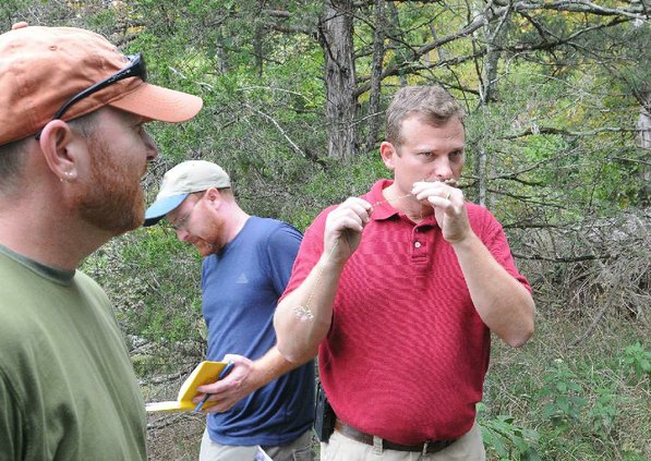 
                           Chris Colclsure bites into a glade onion, which is indicative of a high-quality glade.