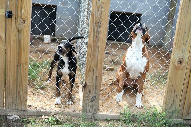 BK_shelter_04_web