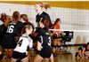 Pea Ridge players celebrate after winning their semifinal match on Tuesday against Gravette during the 4A Northwest Conference tournament at Prairie Grove.