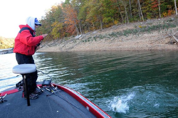 
                           Keith Brashers of Rogers battles a bass that bit a spinner bait at Beaver Lake on Friday Oct. 19. Brashers owns War Eagle Custom Lures in Rogers and put his company's spinner baits to the test at Beaver.