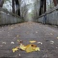 An autumn scene was worth a stop Oct. 25 along the Katy Trail in central Missouri. The Katy crosses ...