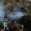Bill Severson with APAC uses a leaf blower to help set a brush pile on fire Wednesday as the company...