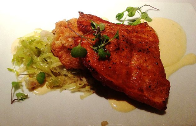 salmon.1620