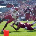 Arkansas receiver Mekale McKay, tripped up just short of the goal line against South Carolina, had t...