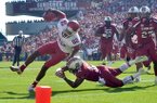 Arkansas receiver Mekale McKay, tripped up just short of the goal line against South Carolina, had three catches for 49 yards in the Razorbacks’ 38-20 loss to the Gamecocks on Saturday. The drive ended with a Dennis Johnson fumble at the 5. 
