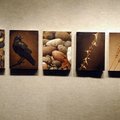 “The Sower and the Seeds” by Ryan Jackson
is part of the exhibit at John Brown University. 