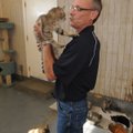 Bud Norman, shelter manager, on Thursday holds one of several cats available for adoption. Adoptions...