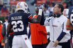 Auburn coach Gene Chizik, right, gives Auburn running back Onterio McCalebb (23) a high-five after he scored a touchdown during the second half of an NCAA college football game against Alabama A&M on Saturday, Nov. 17, 2012 in Auburn, Ala. Auburn defeated Alabama A&M 51-7. (AP Photo/Butch Dill)