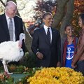 President Barack Obama, accompanied by daughters Sasha and Malia, laughs at a loud gobble from the t...