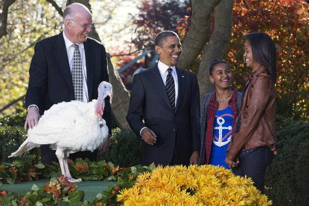 president-barack-obama-accompanied-by-daughters-sasha-and-malia-laughs-at-a-loud-gobble-from-the-turkey-as-he-pardons-cobbler-a-19-week-old-40-pound-turkey-on-the-occasion-of-thanksgiving-wednesday-nov-21-2012-in-the-rose-garden-of-the-white-house-in-washington-at-left-is-national-turkey-federation-chairman-steven-willardsen