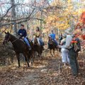 Horses and riders are common sights during a Goat Trail hike.