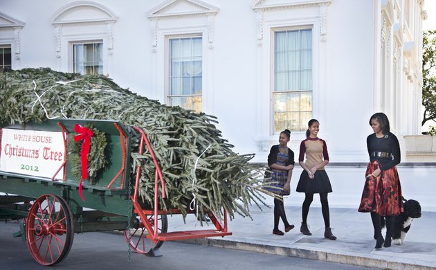 first-lady-michelle-obama-with-daughters-sasha-left-and-malia-welcome-the-arrival-of-the-official-white-house-christmas-tree-a-19-foot-fraser-fir-from-jefferson-nc-at-the-north-portico-of-the-white-house-in-washington-friday-nov-23-2012