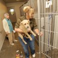 Shonna Harvey, right, former director of the Washington County Animal Shelter, speaks Sept. 19 with ...